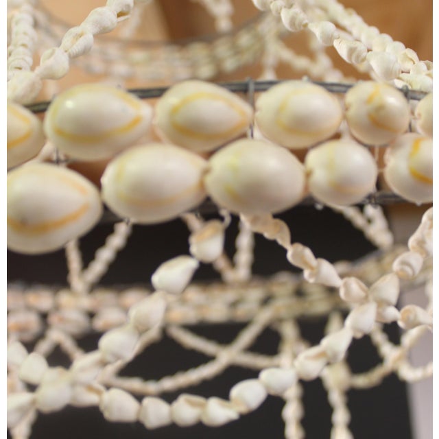 Vintage Sea Shell Hanging Plant Holder For Sale - Image 4 of 6