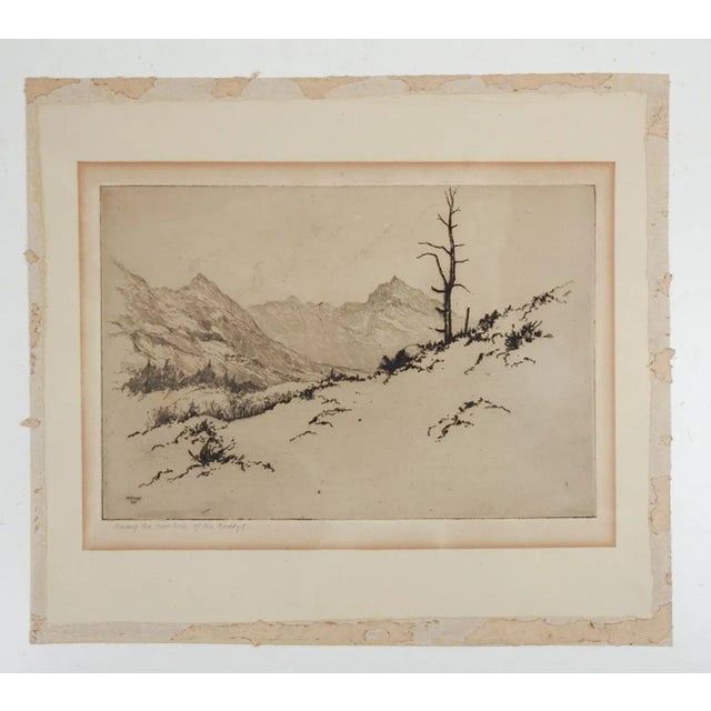 Rustic Vintage Lee Sturges Etching Among the Foothills of the Rockies For Sale - Image 3 of 4