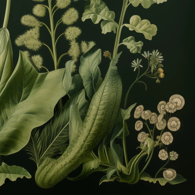 2020s Dark Green Antique Botanical Garden Study No. 6 - Natural History Fine Art Print For Sale - Image 5 of 5
