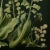 2020s Dark Green Antique Botanical Garden Study No. 6 - Natural History Fine Art Print For Sale - Image 5 of 5
