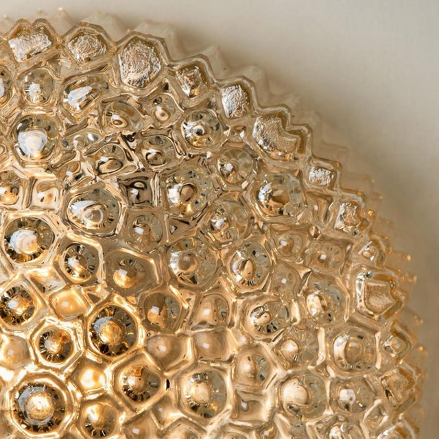 Brass & Amber Glass Wall Lights / Flush Mounts attributed to Motoko Isshi for Staff, 1970, Set of 2 For Sale - Image 11 of 18