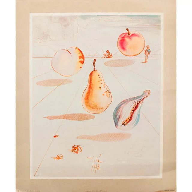 1955 After Dali "Fruits", Period Offset Lithograph From the Mrs. Albert D. Lasker Collection For Sale - Image 12 of 13