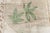 Early 21st Century Modern Tibetan ‘Bamboo’ Botanical Silk & Wool Rug by Doris Leslie Blau For Sale - Image 5 of 9