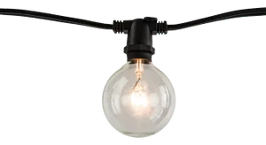 14' Decorative Outdoor String Lights with Clear Incandescent 11 Watt Globe Bulbs in Black