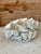 Vintage coastal rustic cast resin clam shell decorative bowl and or artificial foliage planter great for a centerpiece on...
