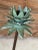 Brass Pair of Tropical Coastal Palm Tree Metal Candlesticks With Verdigris Green Fronds For Sale - Image 8 of 12