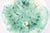 A rare antique English majolica glazed begonia leaf plate with a lovely single green leaf on a soft turquoise ground with...