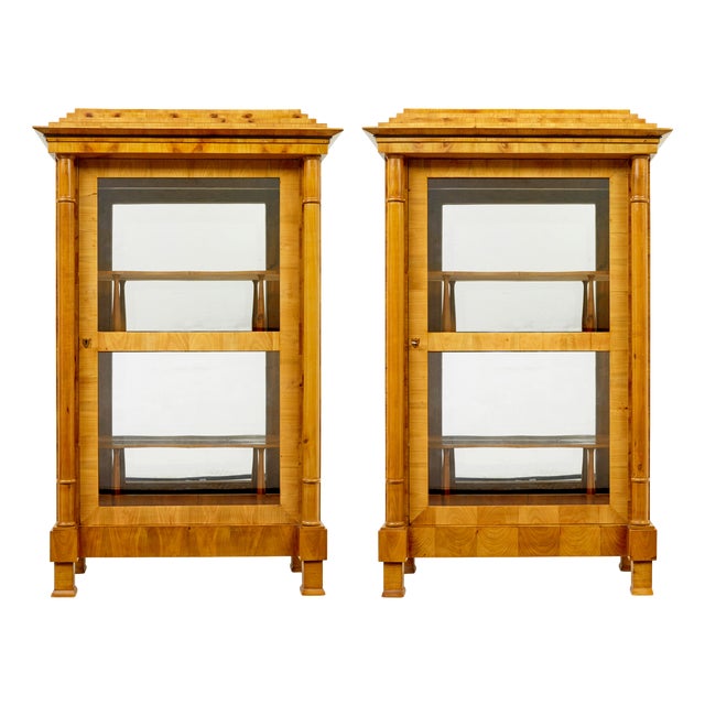 Antique Biedermeier Glazed Elm Display Cabinets, 1840, Set of 2 For Sale