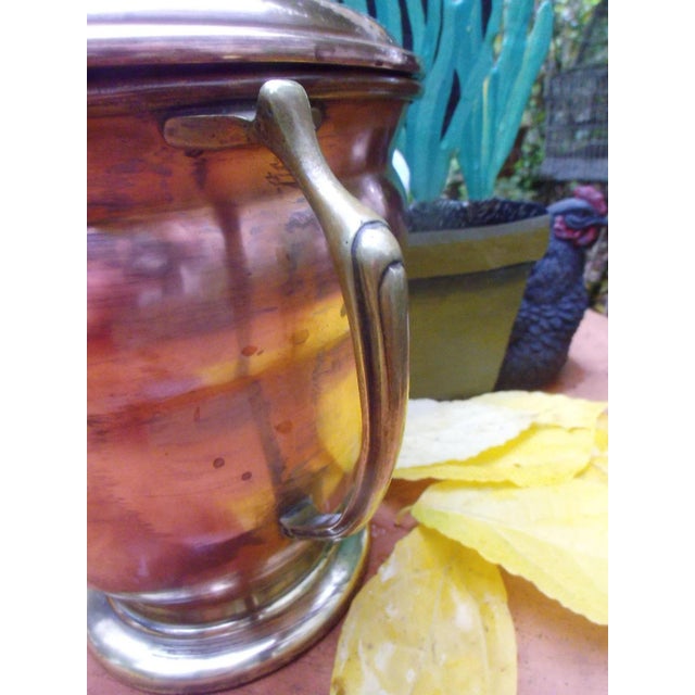 Antique Art Nouveau Champagne Cooler from Gebrüder Bing Nuremberg, 1890s For Sale - Image 4 of 12