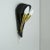 Mid-Century Modern French Brass & Black Acrylic Glass Wall Light, 1950s For Sale - Image 3 of 5