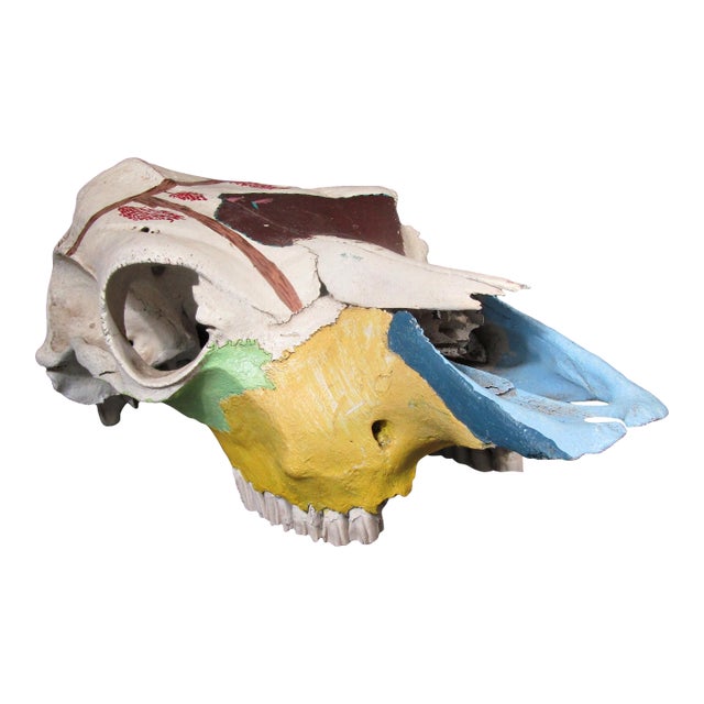 1980s Hand-Painted Bovine Skull Sculpture in Southwestern Folk Art Style For Sale
