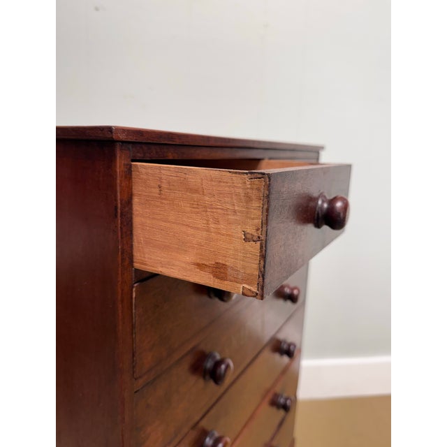 19th Century 19th Century Chest of Drawers With Botanical Species For Sale - Image 5 of 11