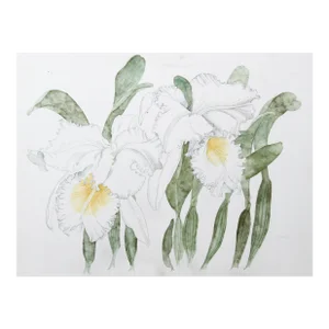 White Irises, Carl Bergman, Painting