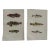 19th Century Fish Print From the Fishes of the British Islands by Jonathan Couch f.l.s. For Sale