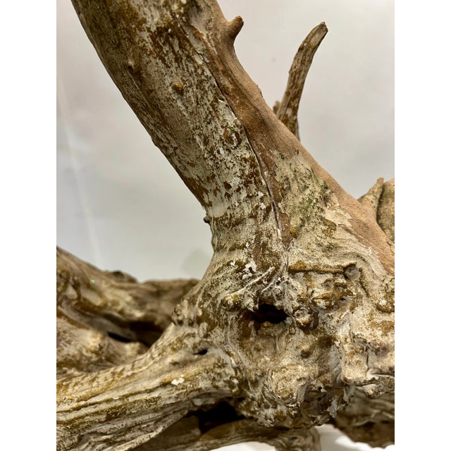 Mid 20th Century MCM Vintage Driftwood Lamp Table Desk Lamp Organic Coastal Decor Original Finial For Sale - Image 5 of 10