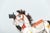 A vintage marionette puppet of a beautifully hand-carved horse adorned with intricate hand-painted details and horse hair...