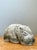 Mid-Century Modern Vintage Cast Cement Hippo For Sale - Image 3 of 16