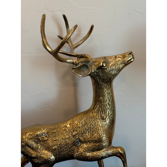 Mid 20th Century Vintage Solid Brass a Pair of Large Spotted Solid Brass Deer Statues, a Buck and a Doe Decor For Sale - Image 5 of 11
