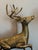 Mid 20th Century Vintage Solid Brass a Pair of Large Spotted Solid Brass Deer Statues, a Buck and a Doe Decor For Sale - Image 5 of 11