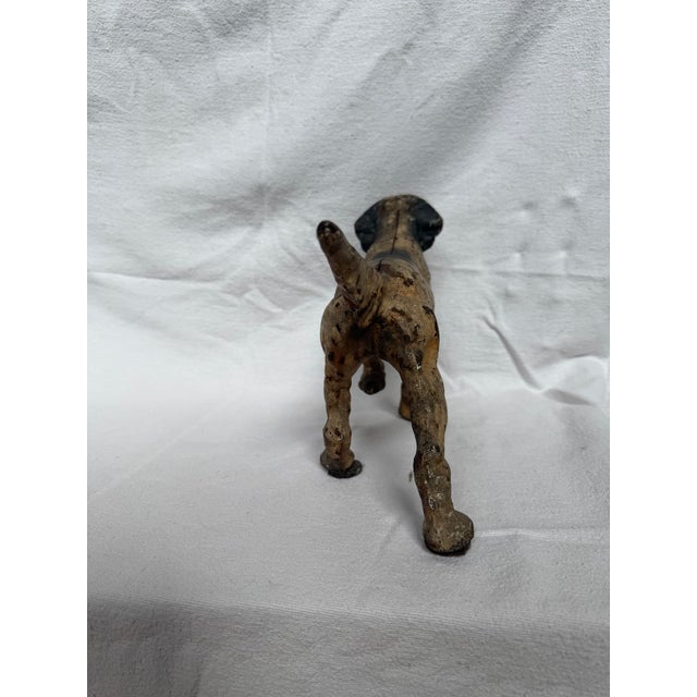 Cream Posing English Setter Ready for the Hunt For Sale - Image 8 of 12