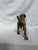 Cream Posing English Setter Ready for the Hunt For Sale - Image 8 of 12