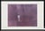 2000 - 2009 Notable 1977 Photo Lithograph by Artist Morris Graves, Signed, Numbered and Numbered, 26” X 33” For Sale - Image 5 of 7