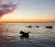 Contemporary Roy Dagan "Schnauzer" Dog in Ocean Seascape Photograph, 2020 For Sale - Image 3 of 6