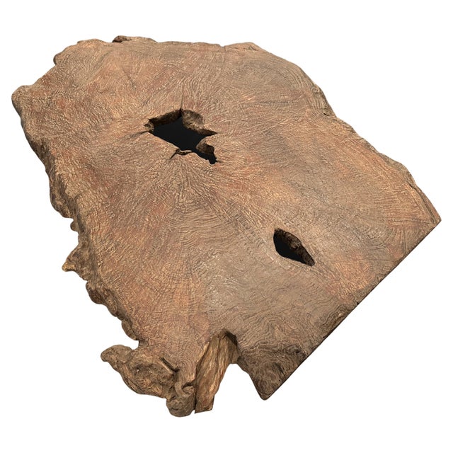 Impressive organic teak sculpture or table top with beautiful wood detail and patina. This rare large slab has beautiful...