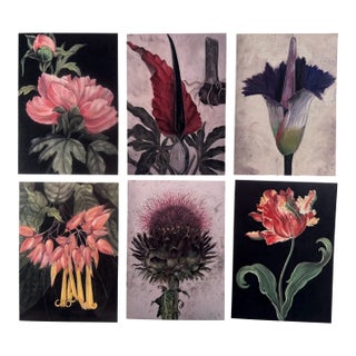 Set of 6 Folded Note Cards Printed From My Pastel Drawings For Sale