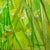Mid-Century Modern Enid Munroe “Daisies” Mid Century Oil on Canvas Painting For Sale - Image 3 of 9
