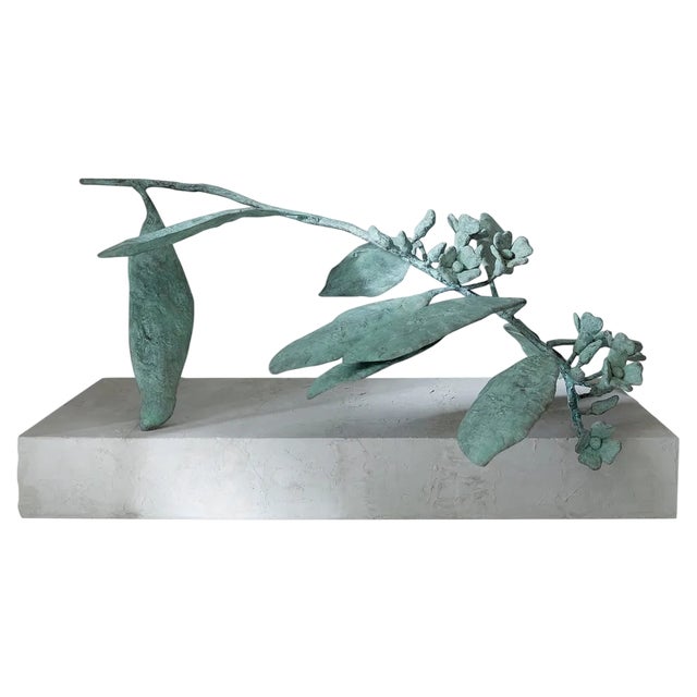 Euphorbia Sculpture 02 by Herma De Wit For Sale
