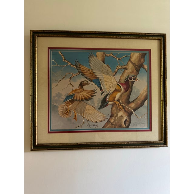 1980s Signed Jim Oliver Print of 2 Wood Ducks in Gorgeous Gold Bamboo Frame For Sale - Image 9 of 11