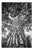 Paul Cooklin, Rome Italy 00266, Edition of 50 For Sale