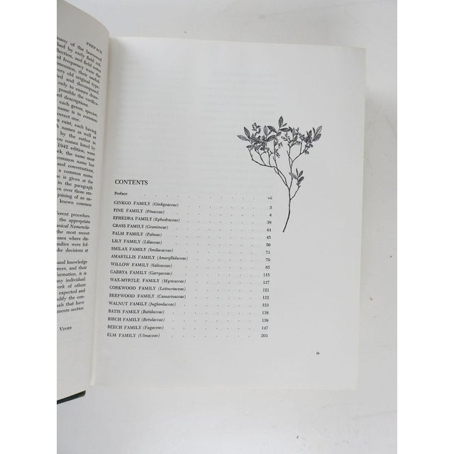 1960 Trees, Shrubs, and Woody Vines of the Southwest Book Chairish