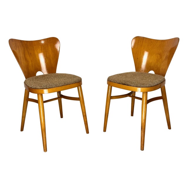 Mid-Century Modern Chairs from Stol Kamnik, 1960s, Set of 2 For Sale