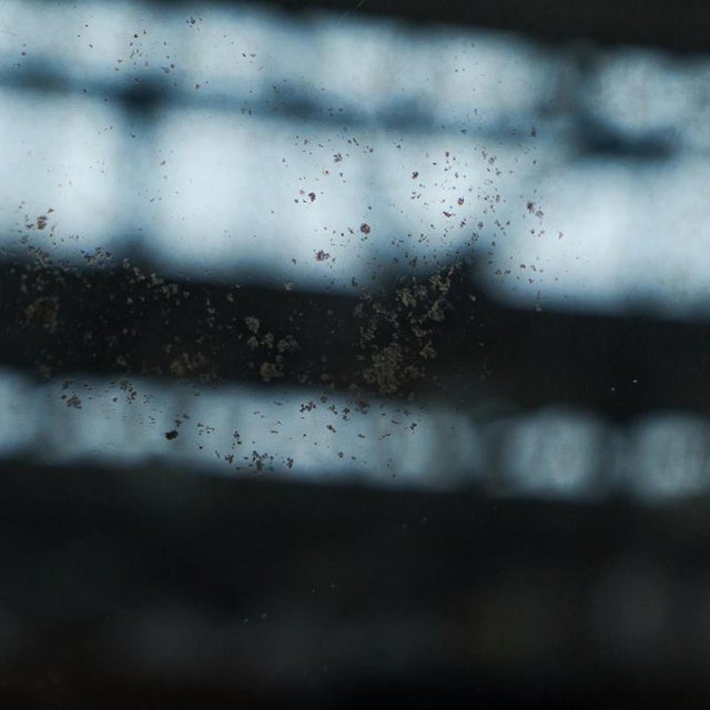 Metal Mid-Century Illuminated Mirror in Pressed Glass with Floral Frame, 1950s For Sale - Image 7 of 11