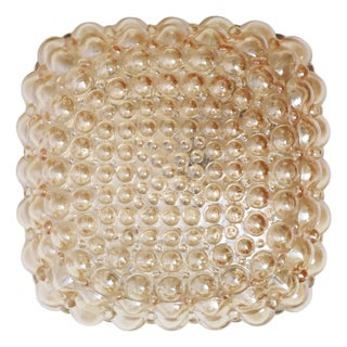 Golden Bubble Wall Light with Glass by Helena Tynell for Glashütte Limburg, 1960s For Sale