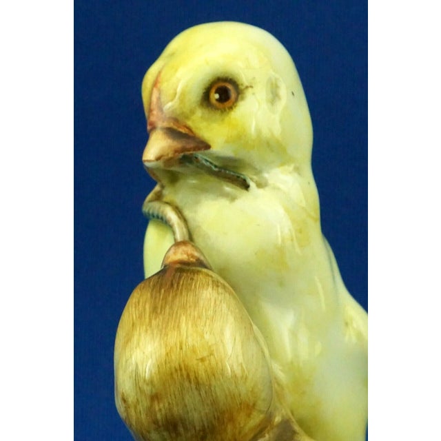 20th Century Ceramic Sculpture Pair of Chicks from Fontanini, Italy, 1920s For Sale - Image 13 of 18