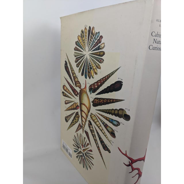 Albertus Seba's Cabinet of Natural Curiosities – Taschen Red & White Illustrated Book For Sale - Image 9 of 12