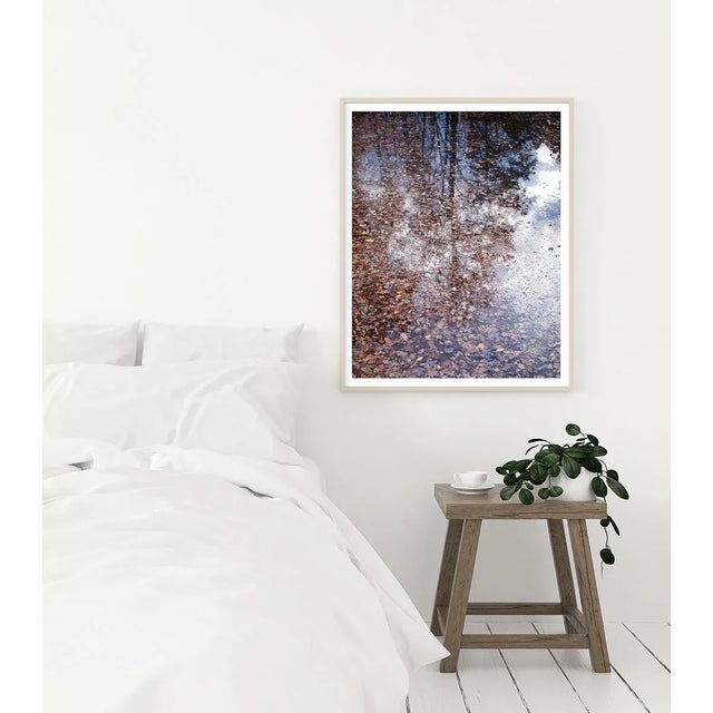 Contemporary Forest Landscape Photography Print, 'Autumn Detritus' 30 X 45" Fine Art Photograph For Sale - Image 4 of 8