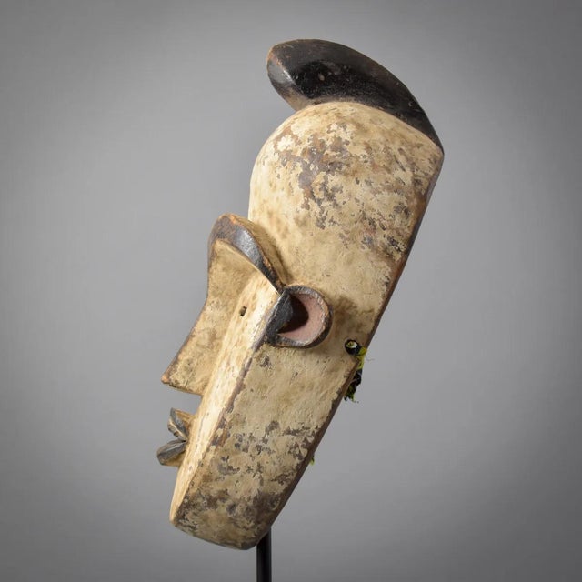 Early 20th Century Fang Mask Ngil Society Gabon For Sale In Denver - Image 6 of 10