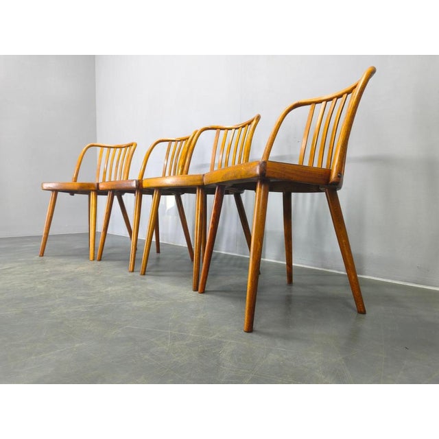 Wood Dining Chairs by Antonin Suman for Ton, 1960s, Set of 4 For Sale - Image 7 of 18