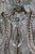 Rings House Chandelier Model #8203 from Maison Baguès, 1960s For Sale - Image 12 of 18
