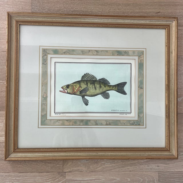 Edizioni Ponte Vecchio Florence Italy Hand colored print