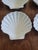 1980s Vintage Dansk Nautical Shell Dishes - Set of 8 For Sale - Image 5 of 5