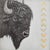 Figurative Bison by Tammy Liu-Haller | Graphite on Clayboard, Gold Leaf, Acrylic Portrait of a bison head For Sale - Image 3 of 3