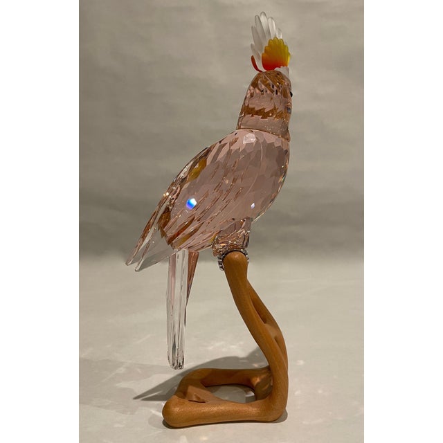 2000 - 2009 Swarovski Crystal Cockatoo Bird Figure For Sale - Image 5 of 8