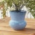Early 21st Century Delaney Pot Large For Sale - Image 5 of 6