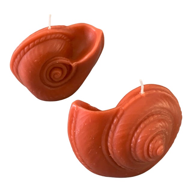 Vintage Tiger Nautilus Shell Shape Candle Point à La Ligne Uncented - a Pair For Sale