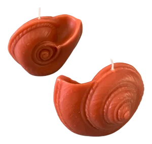 Vintage Tiger Nautilus Shell Shape Candle Point à La Ligne Uncented - a Pair